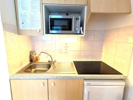 Appartement 34 m² avec balcon et vue dégagée à Saint-Jean-d'Aulps : photo 6