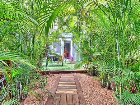 Duplex avec piscine partagée et jardin tropical à Saint-Martin : photo 3