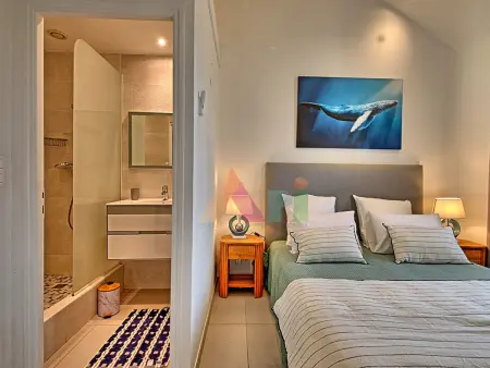 Duplex avec piscine partagée et jardin tropical à Saint-Martin : photo 15