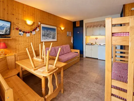 Studio pratique, animaux OK - 4 pers., au pied des pistes : photo 7