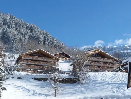 T4 de 60 m² avec balcon sud-ouest à Arêches, animaux acceptés : photo 8