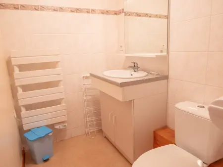Appartement 2 pièces en bord de forêt à Villarodin-Bourget, 4/6 pers. : photo 2