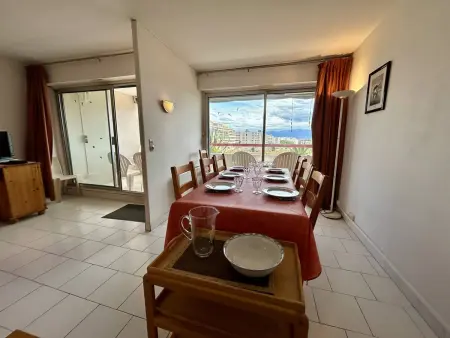Appartement T3 vue mer et Canigou, parking privé, Canet-en-Roussillon : photo 9