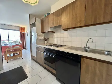 Appartement T3 vue mer et Canigou, parking privé, Canet-en-Roussillon : photo 10