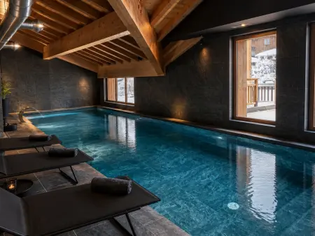 T2 cabine ski aux pieds, 10 m des pistes à L'Alpe d'Huez : photo 8