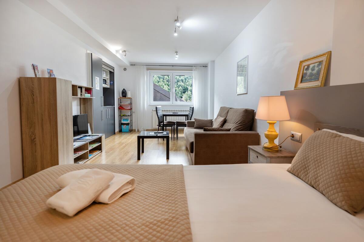 Studio avec vue montagne et accès PMR à Arinsal, 40 m² - Photo 6