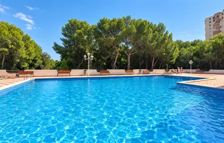Appartement 2 chambres vue mer, piscine partagée, El Saler (Valence) : photo 1