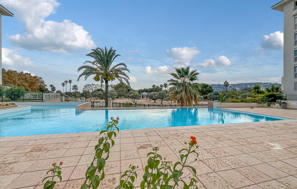 Appartement 35 m² à Antibes-les-Pins, terrasse couverte et piscine - Photo 11