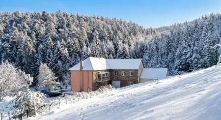Maison 4 chambres à Wangenbourg-Engenthal, jardin et vue montagne : photo 4