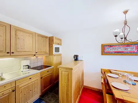Appartement La Toussuire, animaux admis, vue sur la station : photo 5