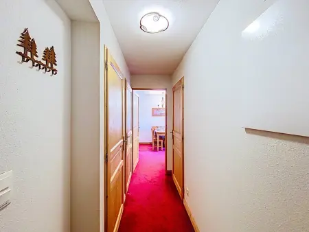 Appartement La Toussuire, animaux admis, vue sur la station : photo 10