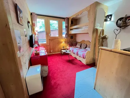 Appartement 4 pers. à Avoriaz, pistes à 100 m, animaux admis : photo 5