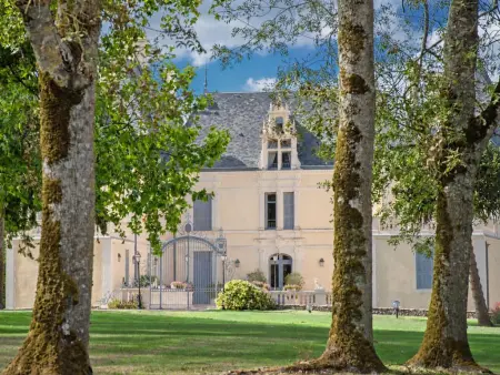Vieille Vigne 26, Grande villa avec piscine privée chauffable : photo 14