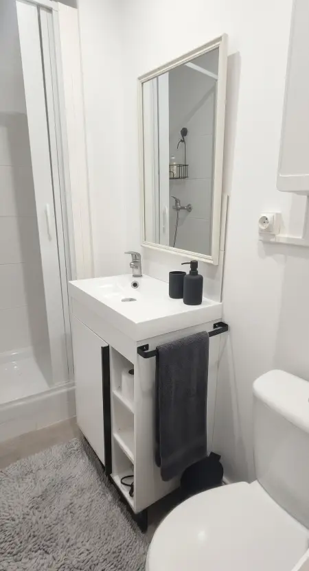 Appartement La Bollène-Vésubie 30 m² totalement isolé : photo 4