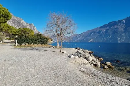 395921, CASA FELICE 1 directement sur le lac : photo 33