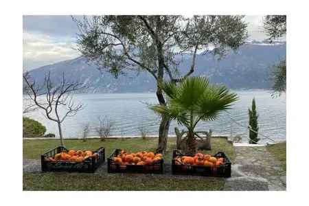 395921, CASA FELICE 1 directement sur le lac : photo 38