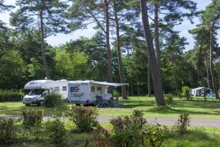 Maison de vacances au bord du lac, camping EuroParcs à Mol : photo 1