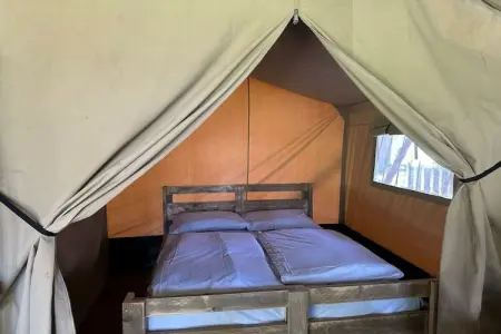 Tente Safari 4 à Zutendaal : 2 chambres, en pleine nature : photo 13