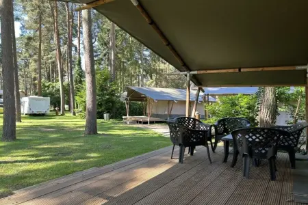 Tente Safari 6 personnes, glamping à Zutendaal (Belgique) : photo 2