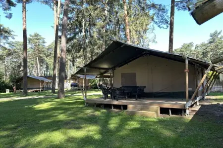 Tente Safari 6 personnes, glamping à Zutendaal (Belgique) : photo 3