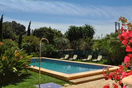 376068, Casa Antonio (4383A) : photo 2