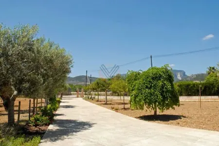 Maison avec piscine privée à Lloseta, 3 chambres, 6 personnes : photo 12