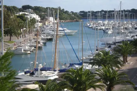 81198, Appartement de vacances avec 1 chambre : photo 25