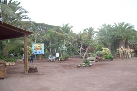 Maison de vacances avec grande terrasse à Costa Calma, Espagne : photo 11