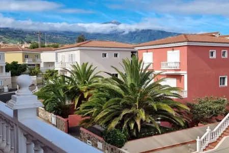 233005, « Flora » à La Paz : photo 4