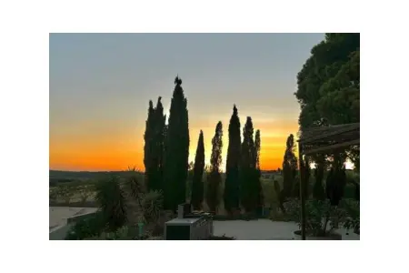 Maison avec piscine et vignes près de Lézignan-Corbières : photo 26