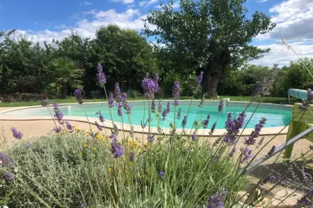 793723, gîte à St-Sauveur-de-Cruzières : photo 2
