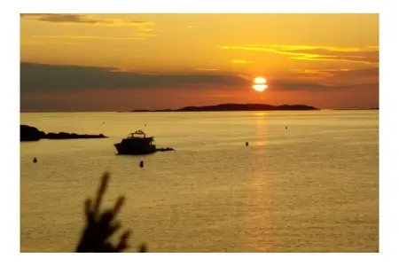 Maison de vacances avec jacuzzi et terrasse à Porto-Vecchio : photo 21
