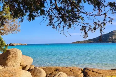 Maison de vacances avec jacuzzi et terrasse à Porto-Vecchio : photo 26