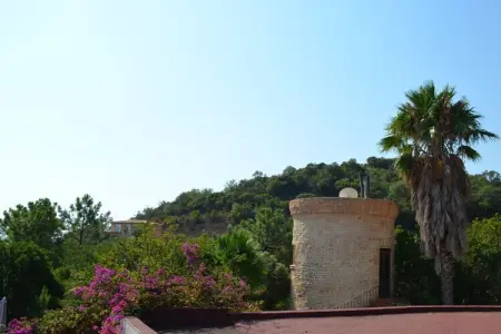 Maison 2 chambres avec piscine et accès privé à la crique de Favone : photo 12