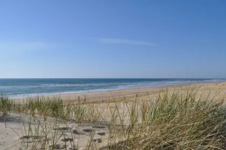 Maison avec cheminée et terrasse à 500 m de la plage, Vieux-Boucau : photo 16