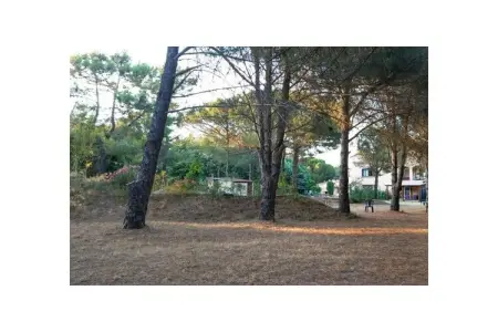 628781, Appartement de vacances avec 1 chambre : photo 15