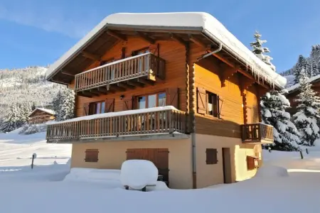 Gîte 12 personnes à Chatel avec jardin, terrasse et garage : photo 1
