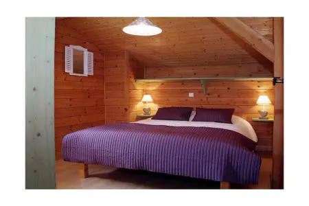 Gîte 12 personnes à Chatel avec jardin, terrasse et garage : photo 16