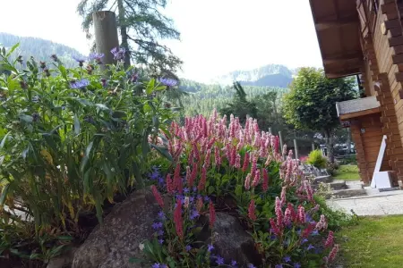 Gîte 12 personnes à Chatel avec jardin, terrasse et garage : photo 26