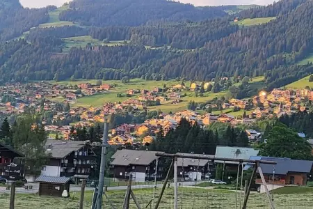 Gîte 12 personnes à Chatel avec jardin, terrasse et garage : photo 27