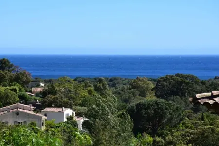 331316, Villa de 4 chambres : photo 3