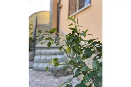 Maison de vacances à Chia, à 1 km des plages, 4 personnes : photo 6