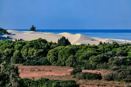 Maison de vacances à Chia, à 1 km des plages, 4 personnes : photo 19