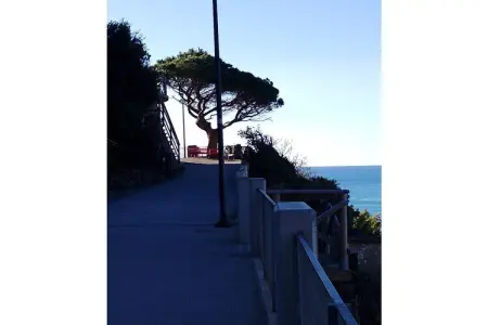 573753, L'Incanto Divino : photo 20