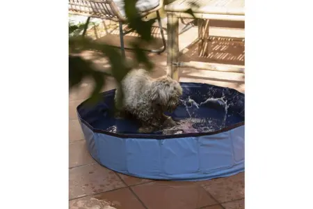 Maison Myosotis à Lerici, jardin clos et piscine privée : photo 19