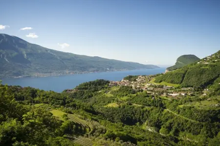 754200, Vacances à San Lorenzo : photo 1