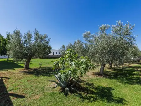 Villa Level 4 avec piscine chauffée privée à Pula, Vodnjan : photo 59