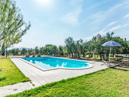 Podere degli Ulivi, Villa 10 personnes à Castiglion Fiorentino : photo 7