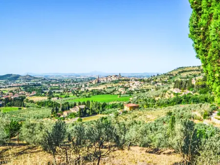 Podere degli Ulivi, Villa 10 personnes à Castiglion Fiorentino : photo 34