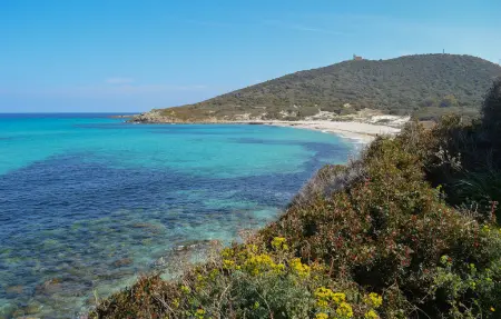 Appartement lumineux à Calvi, à deux pas de la plage et du centre : photo 16